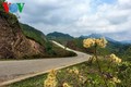 Trải nghiệm cung đường biên giới Bắc Phong Sinh