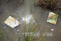 Sóc Trăng: Ô nhiễm nguồn nước ở thị xã Ngã Năm