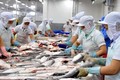 美国实施新的进口鲶鱼产品检验操作规程后 越南对美查鱼出口情况仍保持稳定