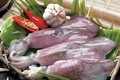 今年上半年越南墨鱼和章鱼对韩国出口猛增