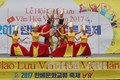 热闹非凡的越韩文化节在首尔举行
