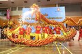 Khai mạc Hội diễn Võ thuật cổ truyền Hà Nội mở rộng lần thứ 33 - năm 2017