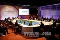东盟共同体：东盟地区论坛同意通过社交媒体打击恐怖主义
