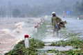Lốc xoáy gây nhiều thiệt hại tại Thừa Thiên - Huế