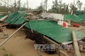 第十号台风给越南中部各省造成特大损失