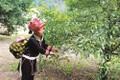 谅山省农民学习胡伯伯道德榜样 努力参加新农村建设