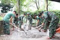 Dấu ấn bộ đội biên phòng Thị Hoa trong phong trào nông thôn mới vùng biên giới