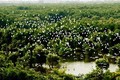 Khu du lịch sinh thái Gáo Giồng với gần 100 nghìn con cò ốc