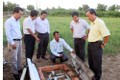 Ninh Thuận hướng đến sản xuất nông nghiệp hàng hóa có lợi thế cạnh tranh trên cánh đồng lớn