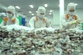 努力推动越南虾产业可持续发展