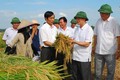Bắc Ninh phát triển nông nghiệp theo hướng tập trung, quy mô lớn