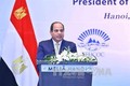 越南埃及企业论坛扩大越南与埃及的合作力度