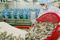 越南力争2018年农林水产出口额达350亿美元
