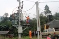 Phú Thọ đưa điện lưới Quốc gia về các khu đặc biệt khó khăn