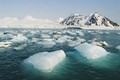 Những điều mới lạ được tìm thấy tại Bắc Cực
