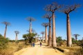 Đại lộ Baobabs