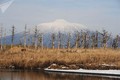 Vẻ đẹp tráng lệ của Khu bảo tồn Kurilsky (Nga)