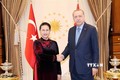 越南国会主席阮氏金银会见土耳其总统埃尔多安