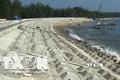Bảo vệ đảo ngọc Tam Hải trước xâm thực của sóng biển