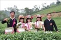 Công bố nhãn hiệu chứng nhận chè Phổng Lái, khoai sọ Thuận Châu