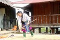 Chị Vàng Thị Sông - Người phụ nữ Mông học chữ “Cần” của Bác