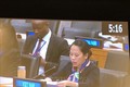 越南在联合国大会分享消除贫困经验