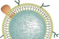 Bọt biển nano - Hy vọng mới cho bệnh viêm khớp dạng thấp