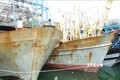 Quảng Nam gần 730 tỷ đồng cho vay đóng tàu lớn vươn khơi bám biển