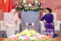 越南国会主席阮氏金银会见马来西亚副总理