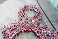 Ngày hội Nón hồng - Nâng cao nhận thức của phụ nữ về bệnh ung thư vú 