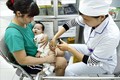Đã có 8 vắc xin phòng bệnh kết hợp được cấp giấy đăng ký lưu hành