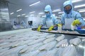 Việt Nam xuất khẩu thủy sản ước đạt 6,4 tỷ USD