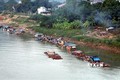 Phát triển nuôi cá đặc sản trên sông Lô, sông Gâm