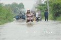 ​Thành phố Hồ Chí Minh: Triều cường lên cao gây ngập nhiều tuyến đường 