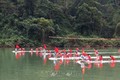 Lễ hội đua mảng trên dòng sông Gâm-Hà Giang