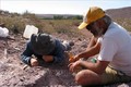Phát hiện hóa thạch loài khủng long mới tại Argentina