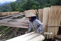 Trồng rừng gắn với chế biến lâm sản giúp người dân huyện miền núi Như Xuân giảm nghèo