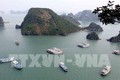  Thí điểm quản lý, điều hành tàu ghép khách tham quan vịnh Hạ Long ​