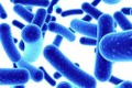 Lợi khuẩn Probiotic không có công dụng trong điều trị cúm dạ dày ở trẻ em