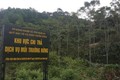 Số hộ được chi trả dịch vụ môi trường rừng tại Đắk Lắk còn thấp