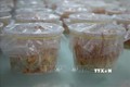 Thanh Hóa sản xuất giống và nuôi thương phẩm nấm đông trùng hạ thảo