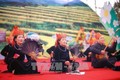 Hội hoa sở tại Quảng Ninh diễn ra từ ngày 14 đến 16/12