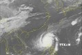 Thời tiết ngày 3/11: Áp thấp nhiệt đới suy yếu từ bão số 7 sẽ suy yếu thành một vùng áp thấp
