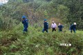 Quảng Ninh xã hội hóa công tác bảo vệ và phát triển rừng