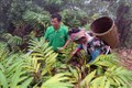Thanh niên các dân tộc thiểu số tỉnh Sơn La chung tay xây dựng nông thôn mới
