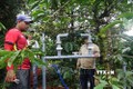 Công ty Nestlé Việt Nam hỗ trợ nông dân sản xuất cà phê bền vững