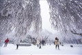Chùm ảnh phong cảnh tuyết rơi tại Trung Quốc