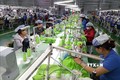 Hàng dệt may Việt Nam đạt kim ngạch xuất khẩu tăng cao nhất trong 3 năm gần đây