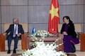 越南国会副主席丛氏放会见联合国驻越协调员