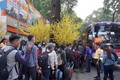 河内计划安排春节班车接送大学生和工人返乡过年